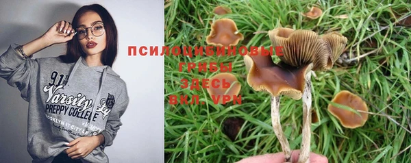 spice Белоозёрский