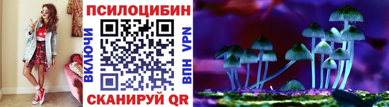 Псилоцибиновые грибы Psilocybine cubensis Бирск